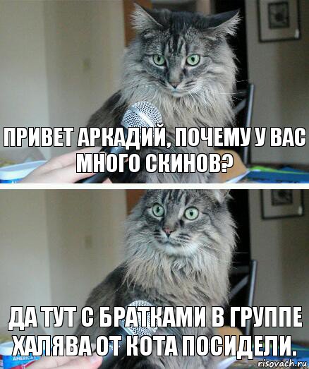 Привет Аркадий, почему у вас много скинов? Да тут с братками в группе Халява от кота посидели., Комикс  кот с микрофоном