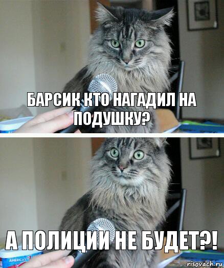 Барсик кто нагадил на подушку? А полиции не будет?!, Комикс  кот с микрофоном