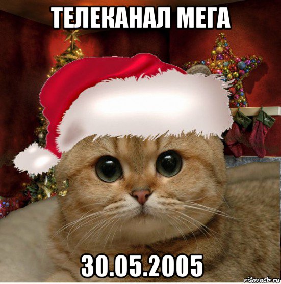 телеканал мега 30.05.2005, Мем Котенька