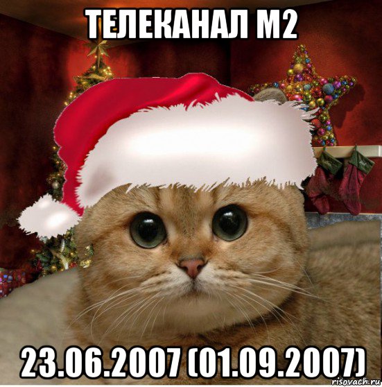 телеканал м2 23.06.2007 (01.09.2007), Мем Котенька