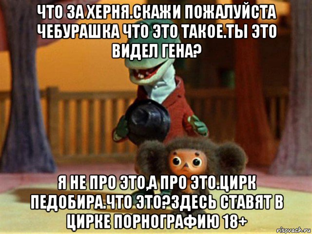 что за херня.скажи пожалуйста чебурашка что это такое.ты это видел гена? я не про это,а про это.цирк педобира.что это?здесь ставят в цирке порнографию 18+, Мем Крокодил Гена - Чебурашечка милы