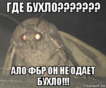 где бухло??????? ало фбр он не одает бухло!!!, Мем Матылёк