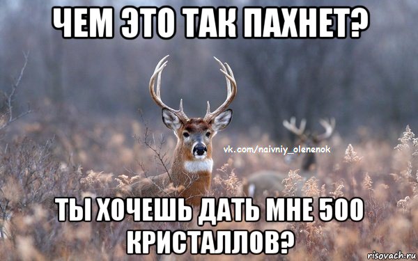 чем это так пахнет? ты хочешь дать мне 500 кристаллов?, Мем  Наивный Олененок