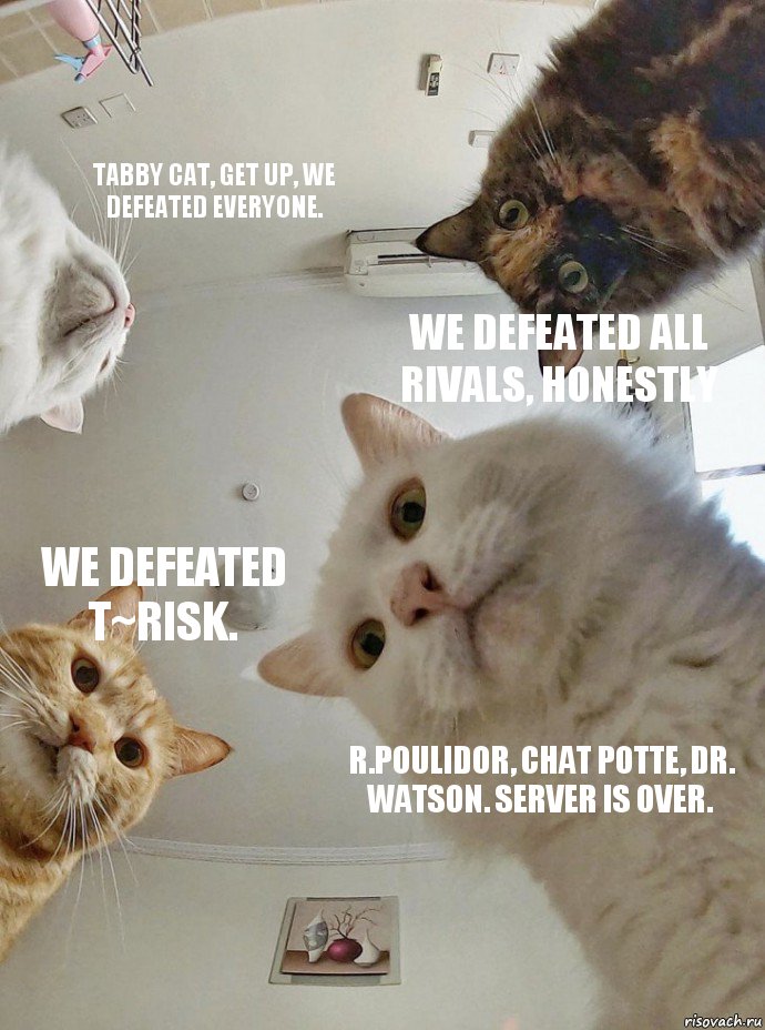 Tabby cat, get up, we defeated everyone. We defeated all rivals, honestly We defeated T~Risk. R.Poulidor, Chat Potte, Dr. Watson. Server is over., Комикс  Наташа мы все уронили