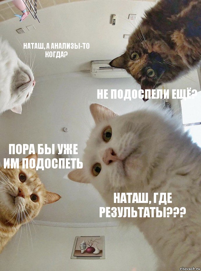 Наташ, а анализы-то когда? Не подоспели ещё? Пора бы уже им подоспеть Наташ, где результаты???, Комикс  Наташа мы все уронили