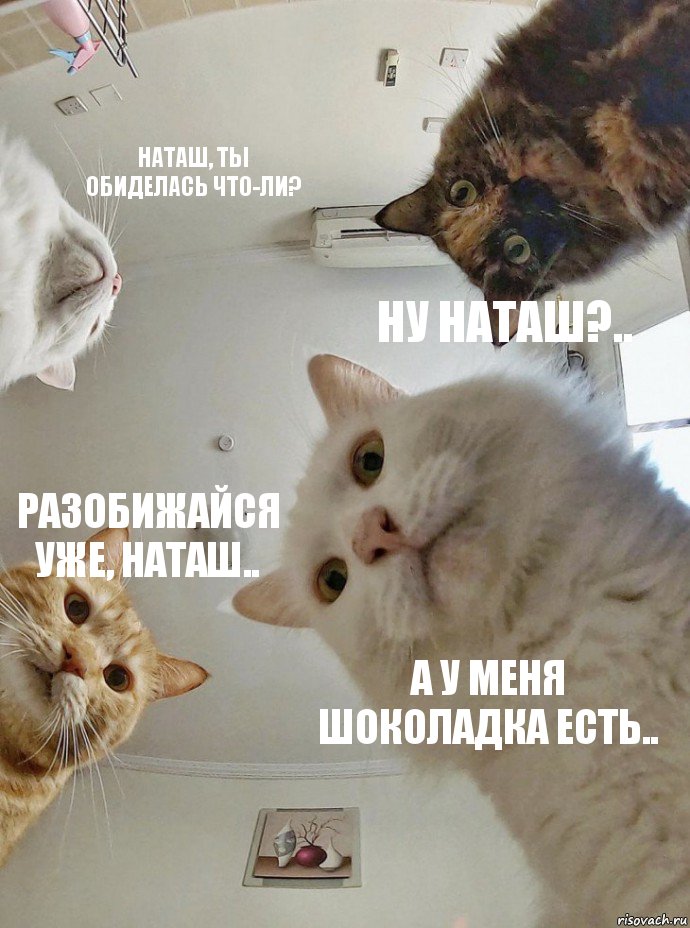 Наташ, ты обиделась что-ли? Ну Наташ?.. Разобижайся уже, Наташ.. А у меня шоколадка есть.., Комикс  Наташа мы все уронили