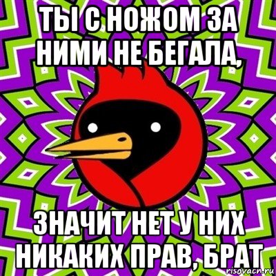 ты с ножом за ними не бегала, значит нет у них никаких прав, брат, Мем Омская птица