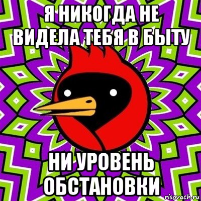 я никогда не видела тебя в быту ни уровень обстановки, Мем Омская птица