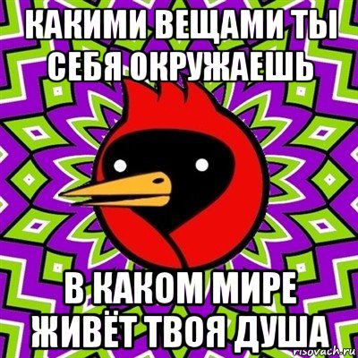 какими вещами ты себя окружаешь в каком мире живёт твоя душа, Мем Омская птица