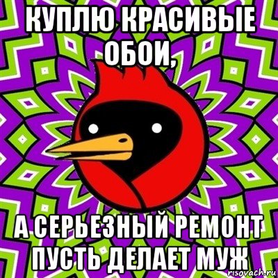 куплю красивые обои, а серьезный ремонт пусть делает муж, Мем Омская птица