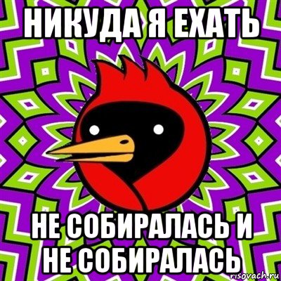 никуда я ехать не собиралась и не собиралась