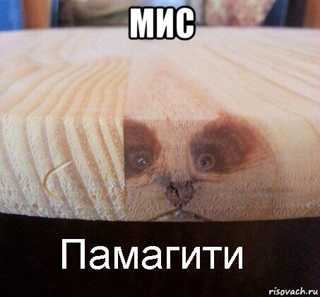 мис 