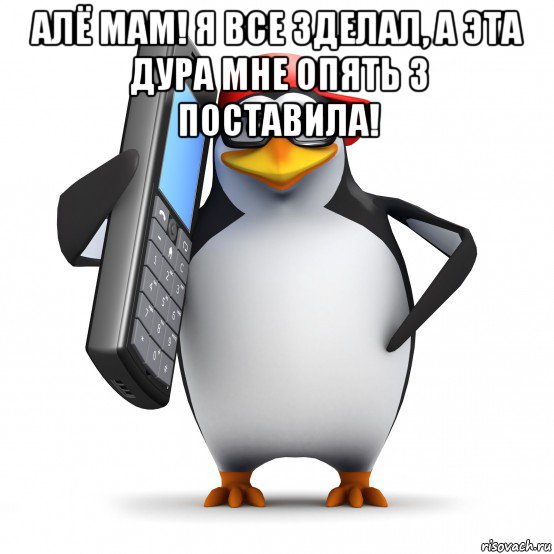 алё мам! я все зделал, а эта дура мне опять 3 поставила! , Мем   Пингвин звонит