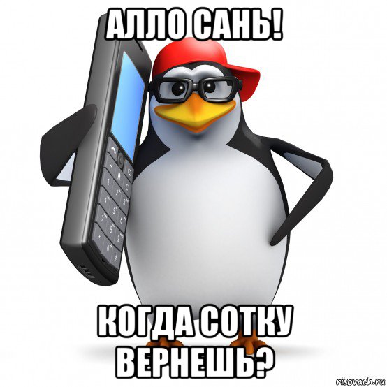 алло сань! когда сотку вернешь?, Мем   Пингвин звонит