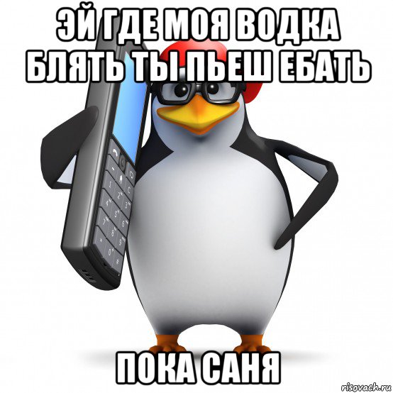 эй где моя водка блять ты пьеш ебать пока саня, Мем   Пингвин звонит