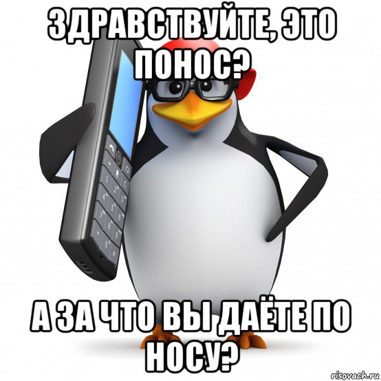 здравствуйте, это понос? а за что вы даёте по носу?, Мем   Пингвин звонит