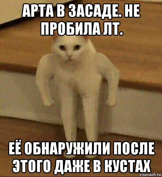 арта в засаде. не пробила лт. её обнаружили после этого даже в кустах, Мем  Полукот