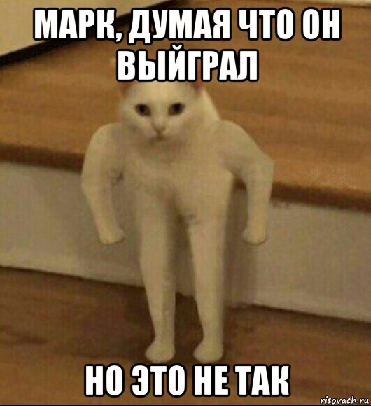 марк, думая что он выйграл но это не так, Мем  Полукот