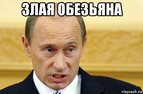 злая обезьяна , Мем путин