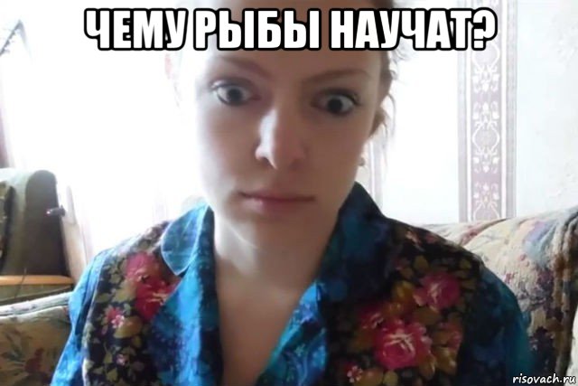 чему рыбы научат? 