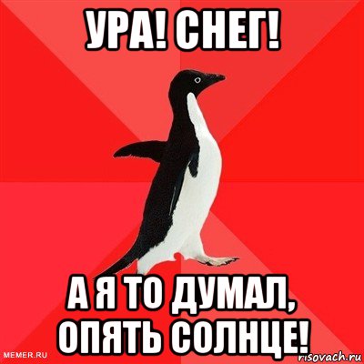 ура! снег! а я то думал, опять солнце!, Мем  социально-агрессивный пингвин