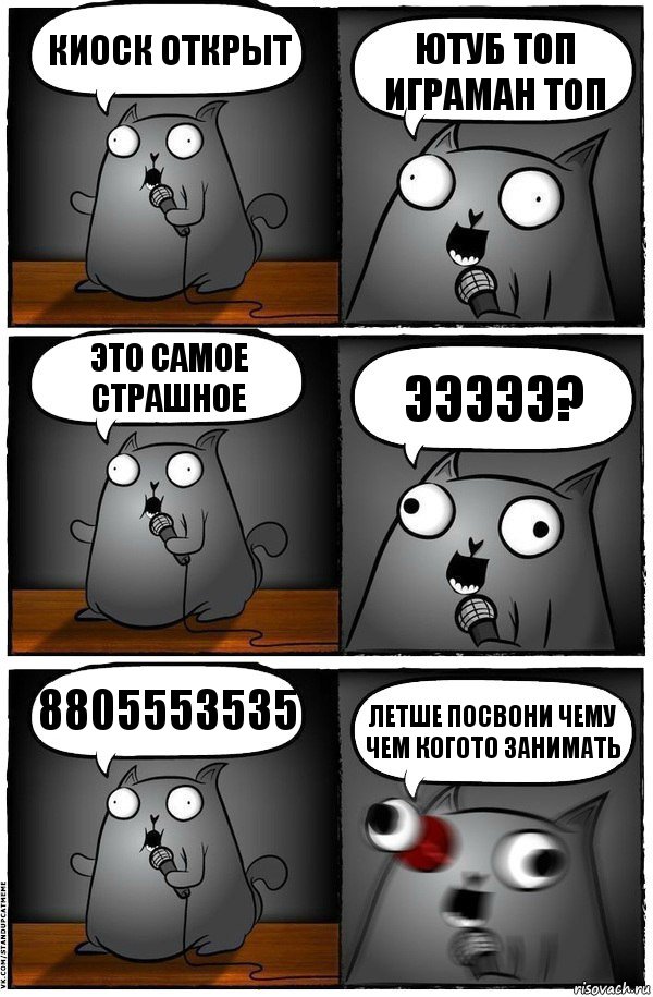 киоск открыт ютуб топ играман топ это самое страшное эээээ? 8805553535 летше посвони чему чем когото занимать, Комикс  Стендап-кот