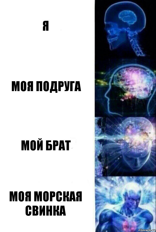 я моя подруга мой брат моя морская свинка