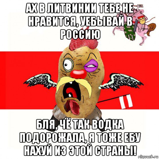 ах в литвинии тебе не нравится, уебывай в россию бля, чё так водка подорожала, я тоже ебу нахуй из этой страны!, Мем свядомы эмагар в ярости