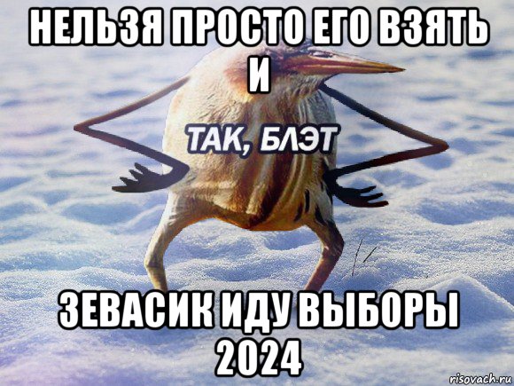 нельзя просто его взять и зевасик иду выборы 2024, Мем  Так блэт птица с руками