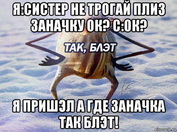 я:систер не трогай плиз заначку ок? с:ок? я пришэл а где заначка так блэт!, Мем  Так блэт птица с руками