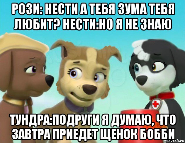 рози: нести а тебя зума тебя любит? нести:но я не знаю тундра:подруги я думаю, что завтра приедет щенок бобби