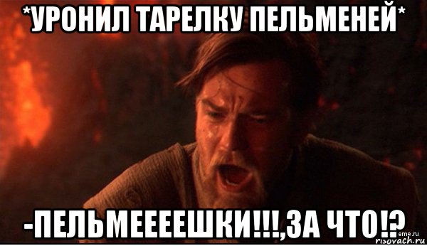 *уронил тарелку пельменей* -пельмеееешки!!!,за что!?