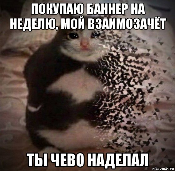 покупаю баннер на неделю, мой взаимозачёт ты чево наделал, Мем Ты чево наделал