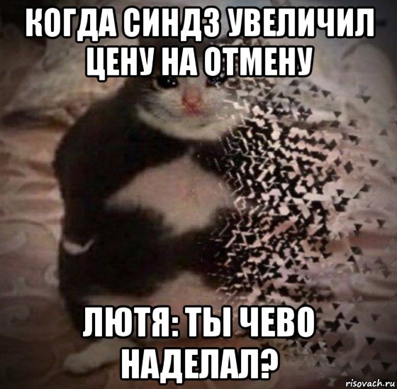 когда синдз увеличил цену на отмену лютя: ты чево наделал?, Мем Ты чево наделал