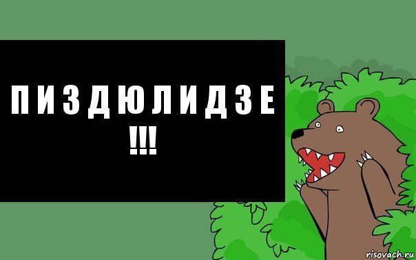 П И З Д Ю Л И Д З Е !!!, Комикс Надпись медведя из кустов