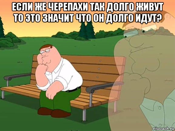 если же черепахи так долго живут то это значит что он долго идут? , Мем Задумчивый Гриффин