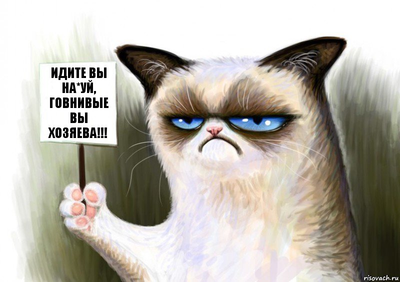 Идите вы на*уй, говнивые вы хозяева!!!, Комикс Сварливый кот с табличкой