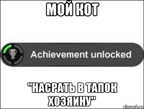 мой кот "насрать в тапок хозяину", Мем achievement unlocked