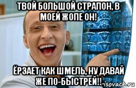 твой большой страпон, в моей жопе он! ёрзает как шмель, ну давай же по-быстрей!!