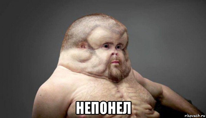  непонел