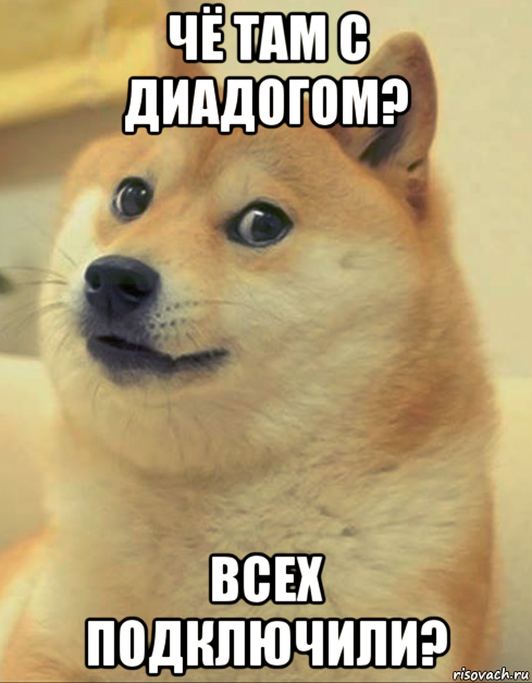 чё там с диадогом? всех подключили?, Мем doge woof