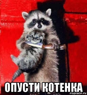  опусти котенка