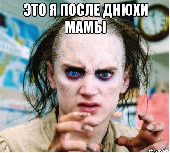 это я после днюхи мамы , Мем фродум