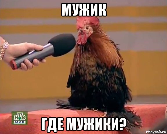 мужик где мужики?