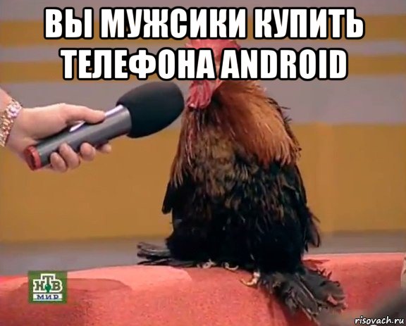 вы мужсики купить телефона android , Мем Интервью с петухом