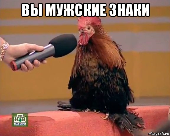 вы мужские знаки 