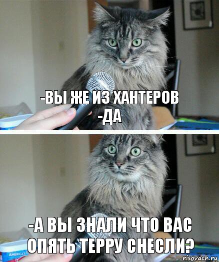 -Вы же из Хантеров
-Да -А вы знали что вас опять терру снесли?, Комикс  кот с микрофоном