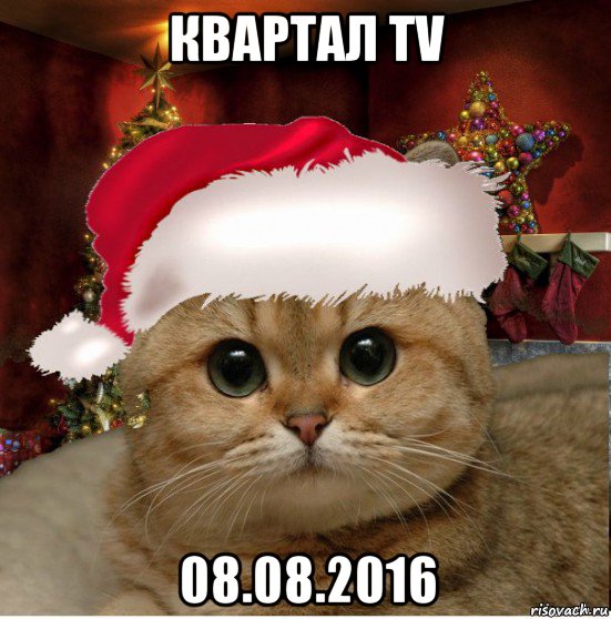 квартал tv 08.08.2016