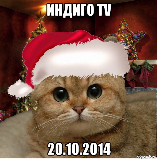 индиго tv 20.10.2014