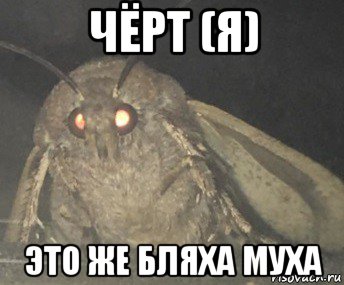 чёрт (я) это же бляха муха, Мем Матылёк